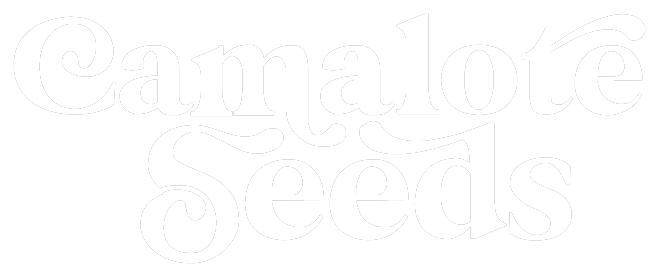 Camalote Seeds