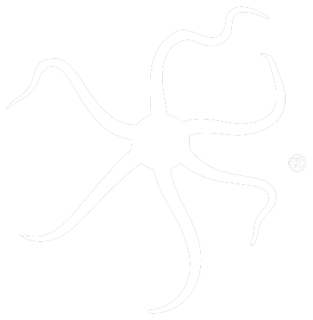 Ofiuras